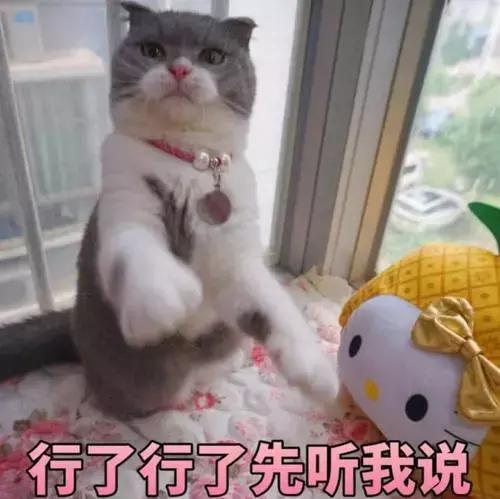 5000以上的自动猫砂盆,给猫买好多碗