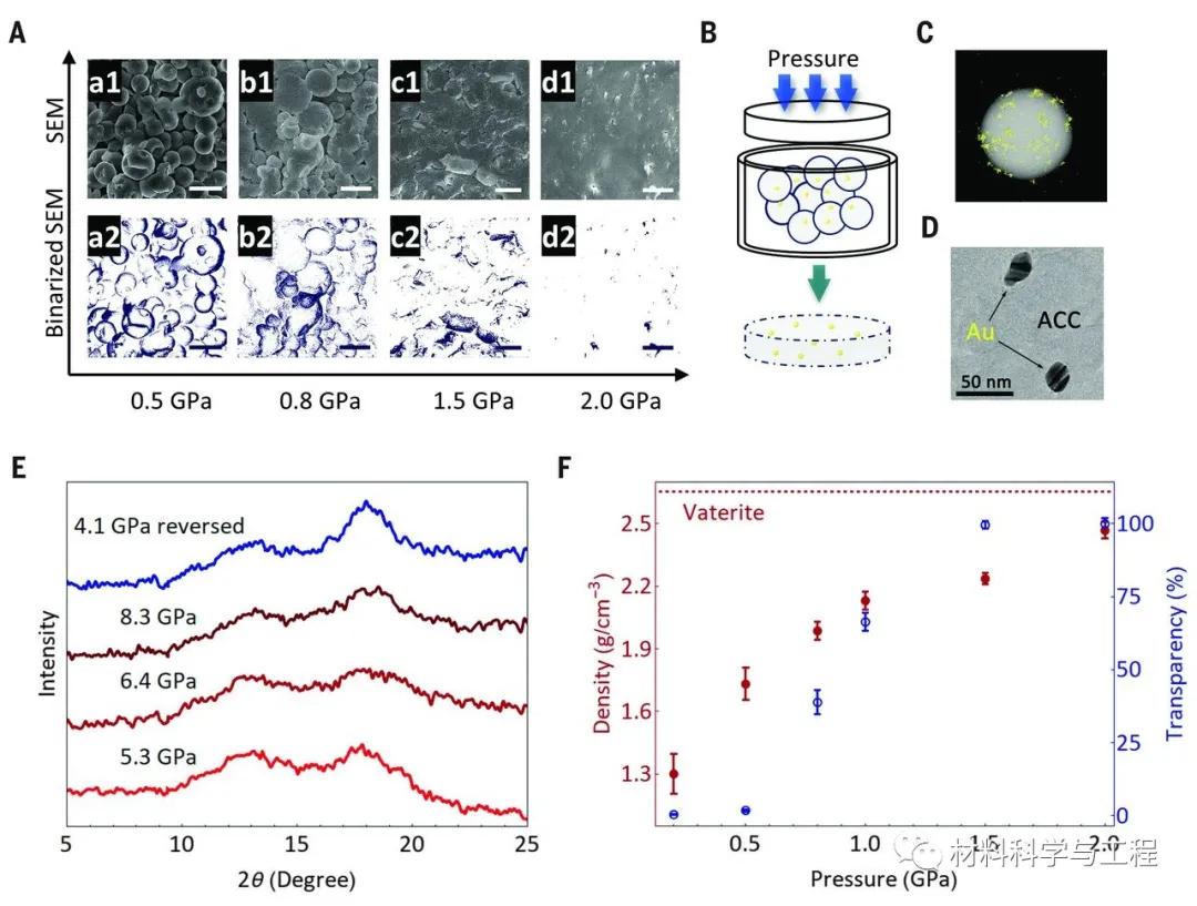 浙大《Science》：压力驱动下的非晶粒子融合成完整的整体