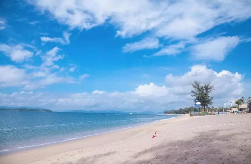 金沙湾看海酒店推荐理由,坐拥一整片森林的温泉度假酒店