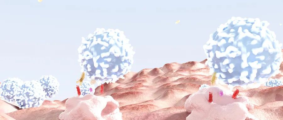 宫颈鳞癌和宫颈癌哪个更严重,宫颈癌前病变科普