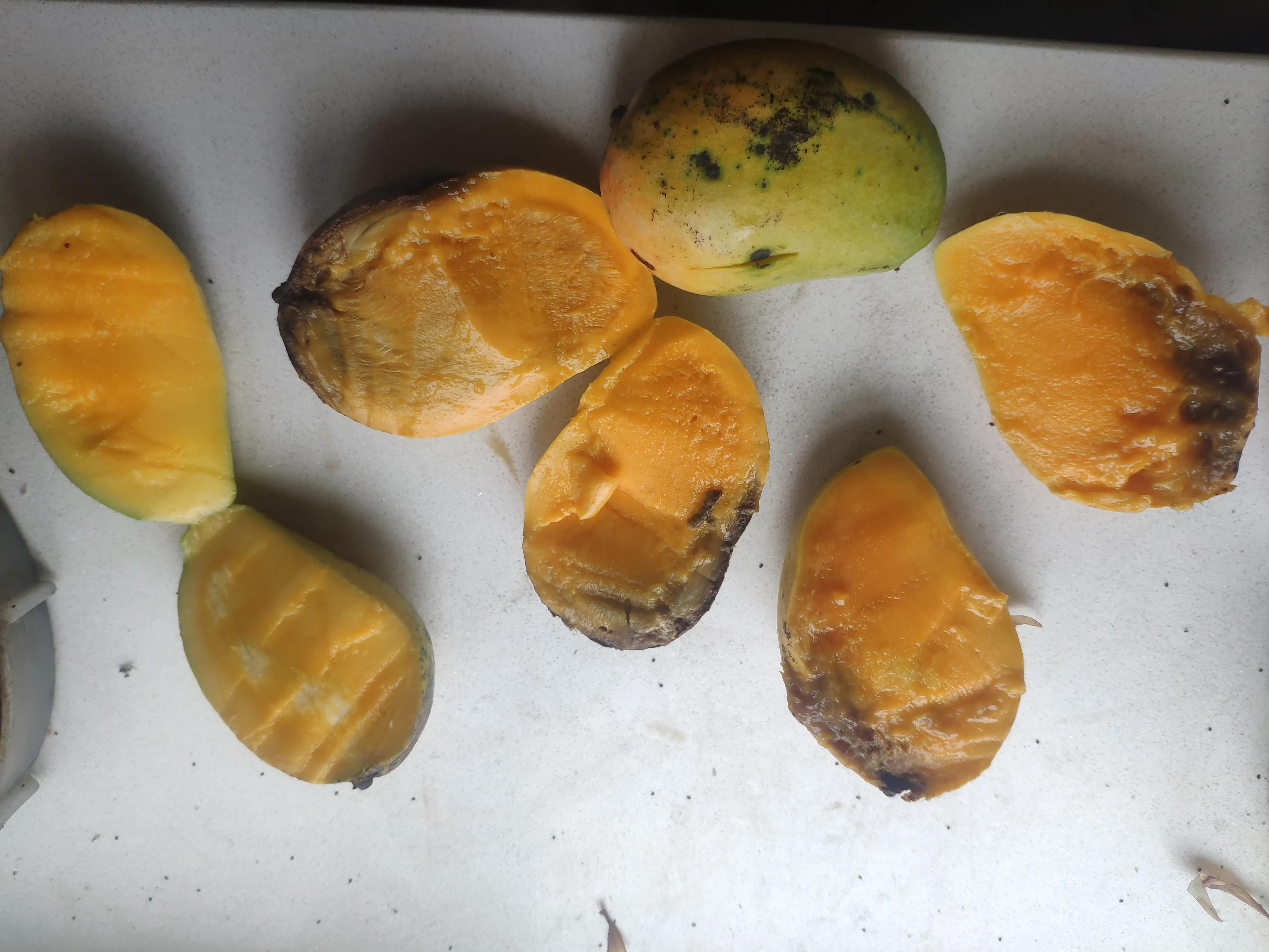 网上购买水果苹果哪家最好,水果app网上订购