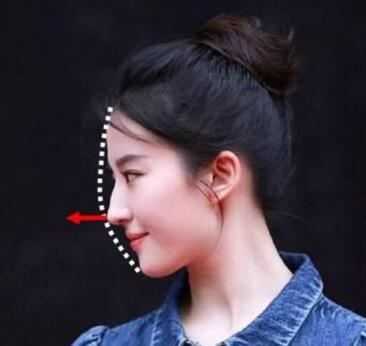 面部一枝花全靠鼻当家,论鼻子对颜值的重要性▼