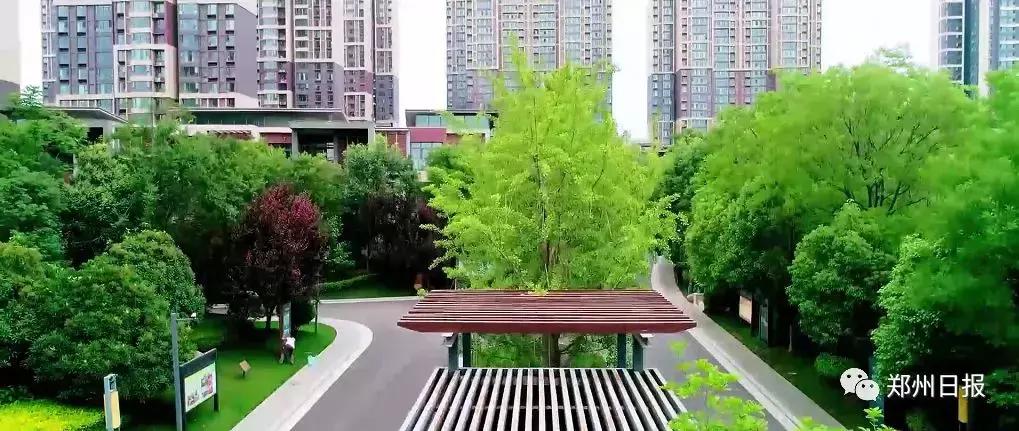 向全世界推介郑州,向世界介绍河南