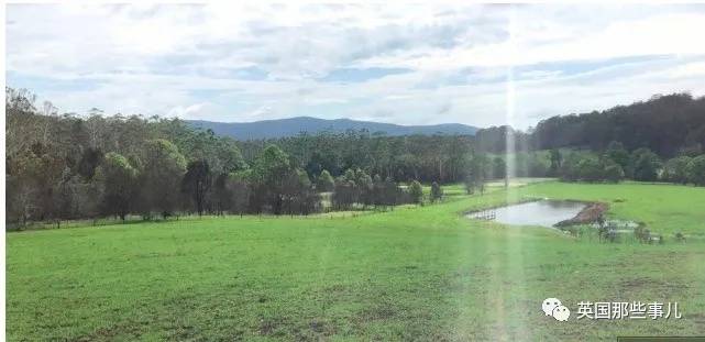 蓝鲸实拍有多大,蓝鲸到底有多大参照物