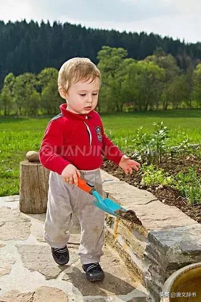 第一名是女孩，班长是女孩，学委是女孩......男孩的教育怎么抓？