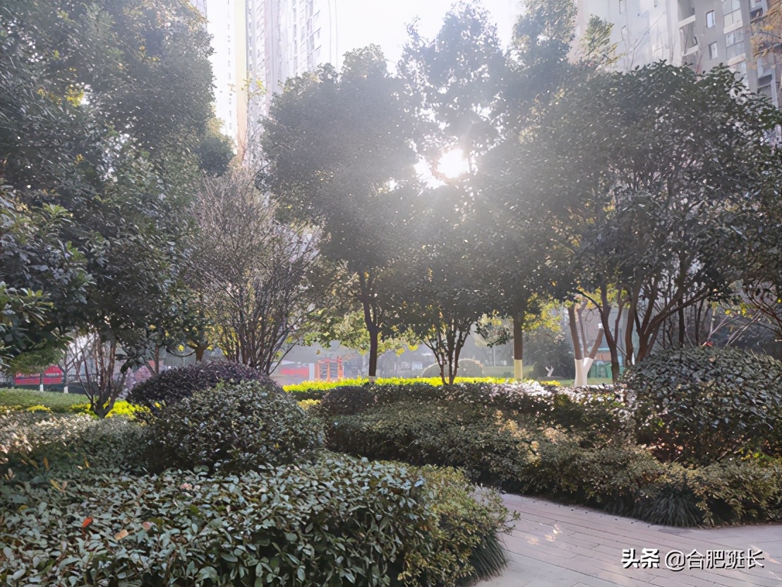 合肥融创城哪一期好,合肥融创城最好的地段