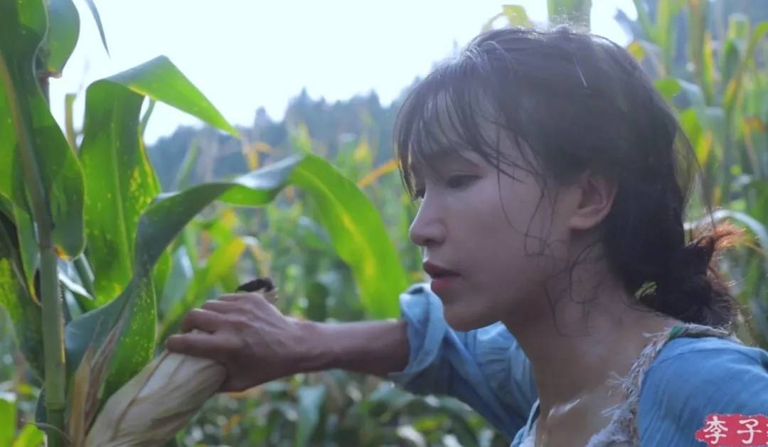 李子柒田园生活的魅力在哪里,当李子柒看到了不一样的田园生活