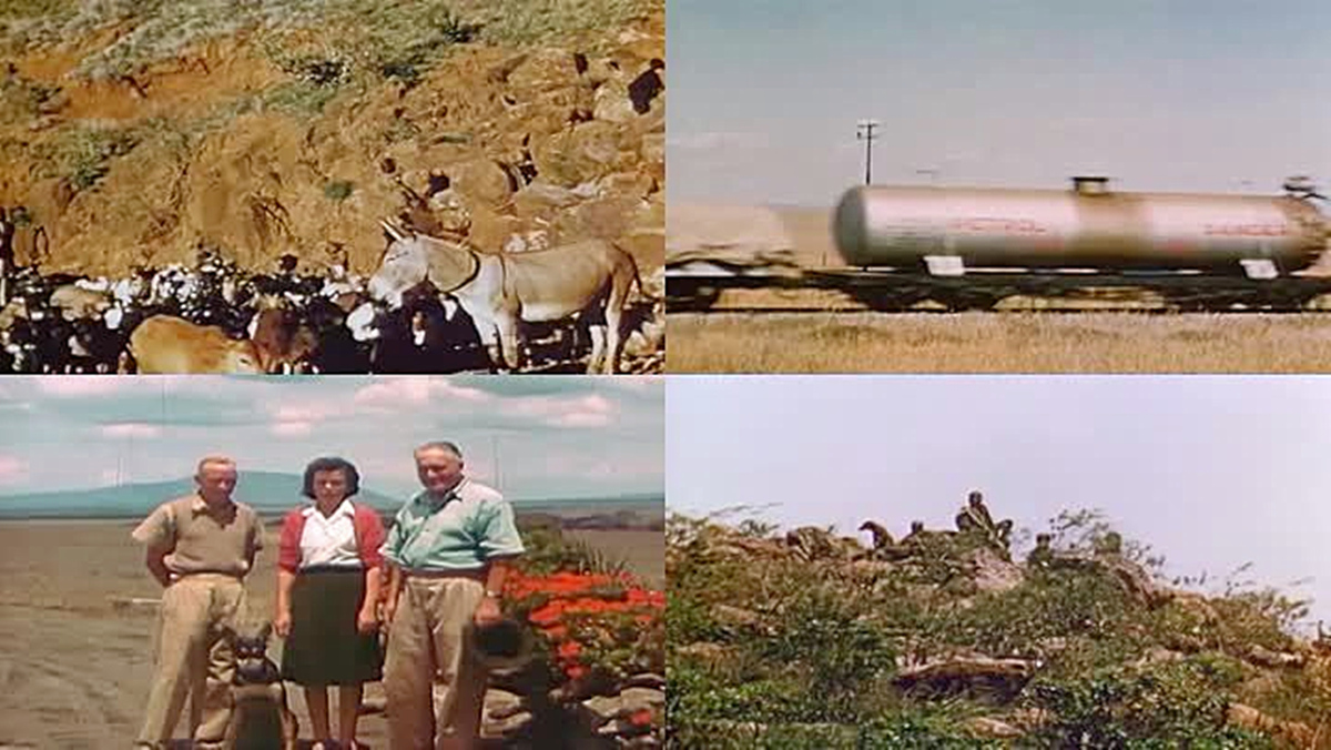 天地银行vs津巴布韦币,跟天地银行叫板的津巴布韦币