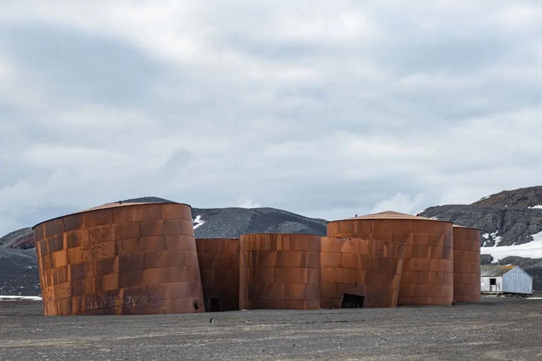 北海布氏鲸视频,广西北海布氏鲸图片