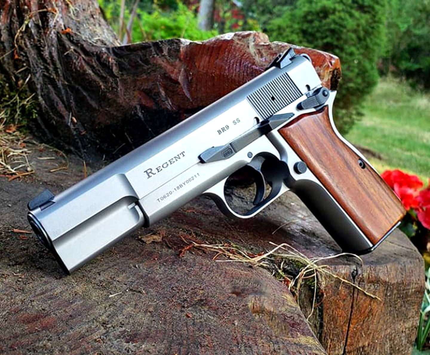 最受欢迎全球最佳的十支手枪,实用性最广的手枪