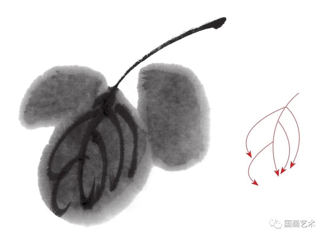 国画写意菊花龙爪菊,写意菊花画法教程简单