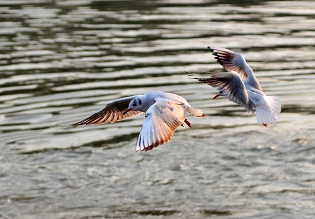 江湖都在哪个地方,江湖在哪个电视台播出