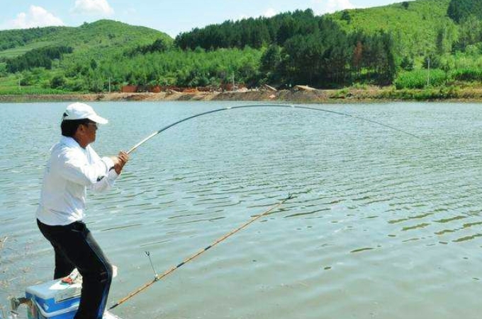 钓草鱼最快最有效的方法看一遍,现在钓草鱼技巧