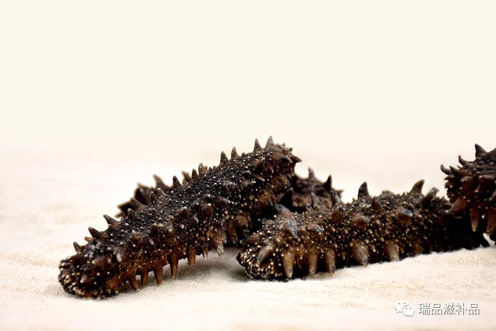 海参市场详情 (海参市场信息)