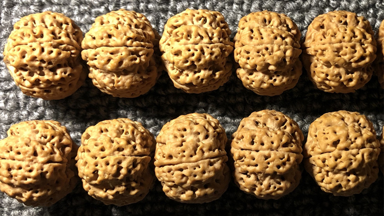 独特性比较强的文玩手串,值得收藏的文玩手串图片