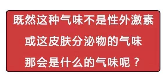 体香吸引女人吗,女生的体香和男生的区别