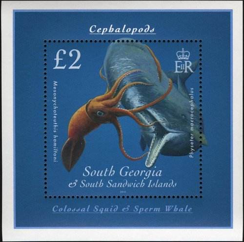 鲸排泄物的香气背后的价值之谜,诡异的鲸