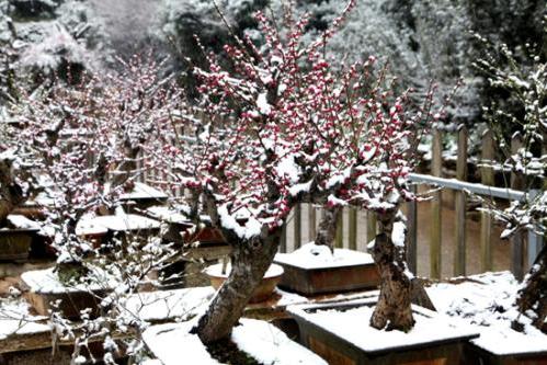 深藏不露的古村落安徽,皖南歙县古村落