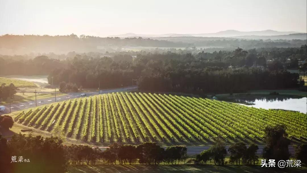 澳洲酒庄旅游,澳洲旅游攻略红酒