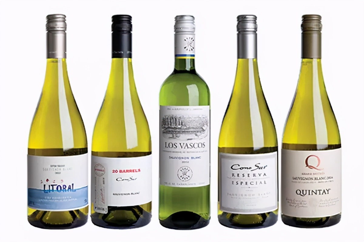 长相思葡萄酒科普,长相思葡萄酒最好的饮用时间