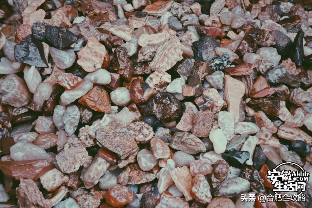 老周谷堆水果批发市场,老周谷堆古玩市场