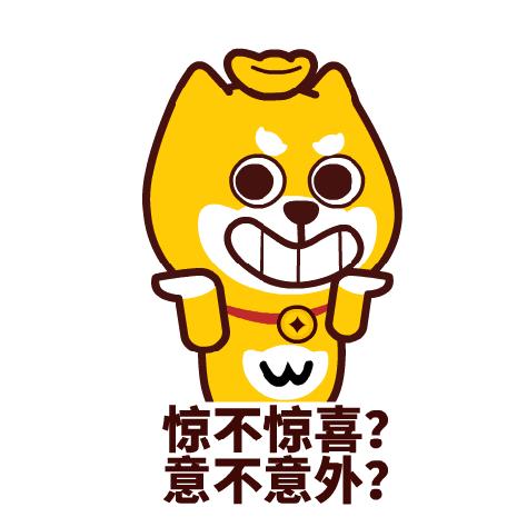 海边贝壳首饰,小众首饰戒指贝壳