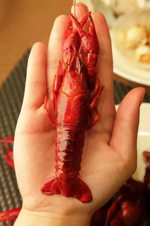 南昌万达嘉华自助餐团购,南昌西湖万达自助餐美食团购优惠