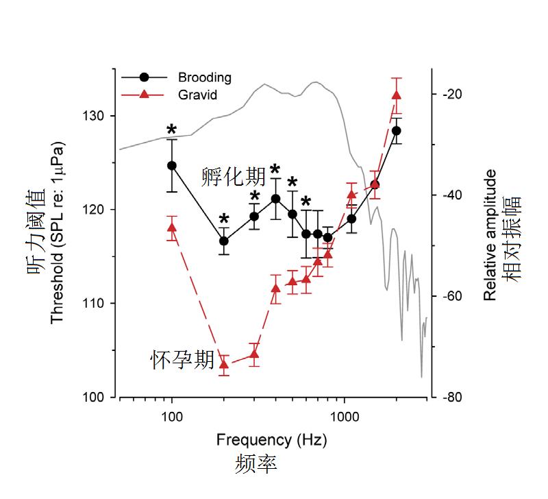 鱼会不会跳出来,鱼会叫吗