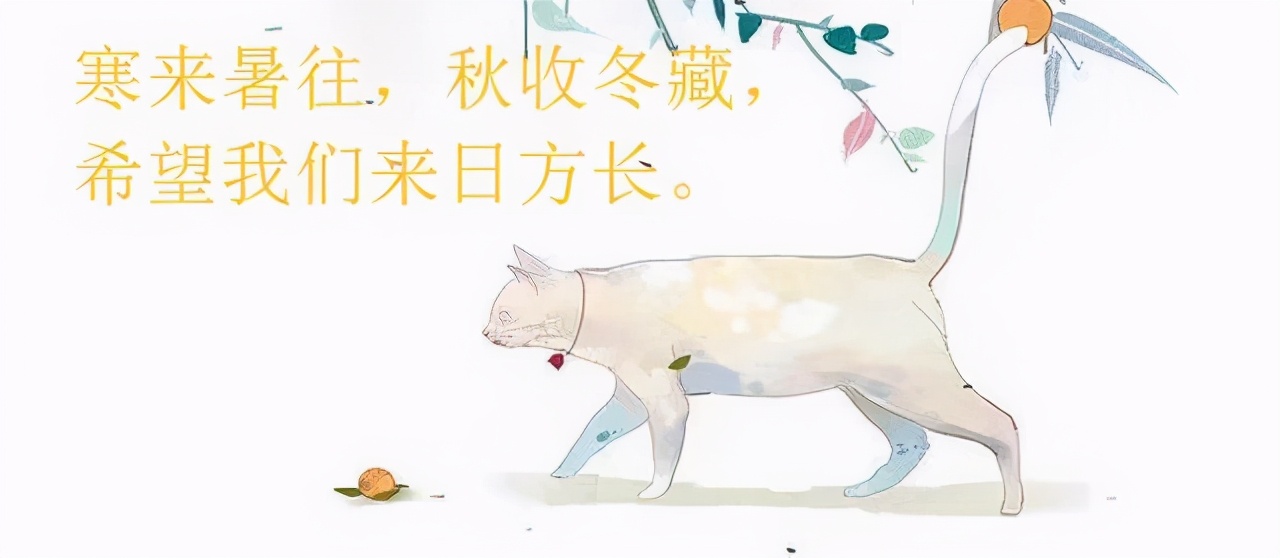 春日玛格丽特帘十里,帘十里春日玛格丽特好看吗