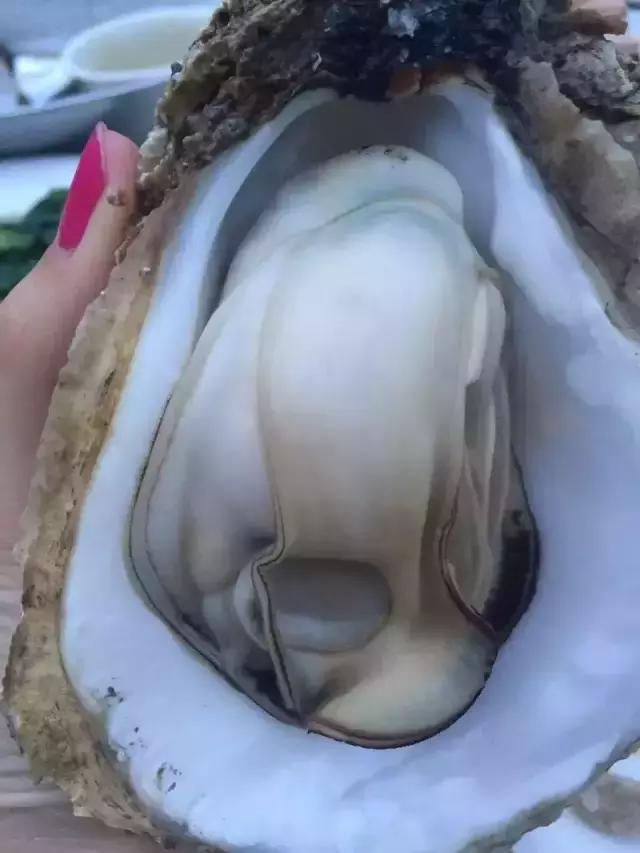 下川岛浪漫海岛度假区,下川岛浪漫