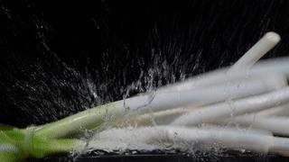 你吃过这家鱼火锅没,一口就上瘾的鱼火锅