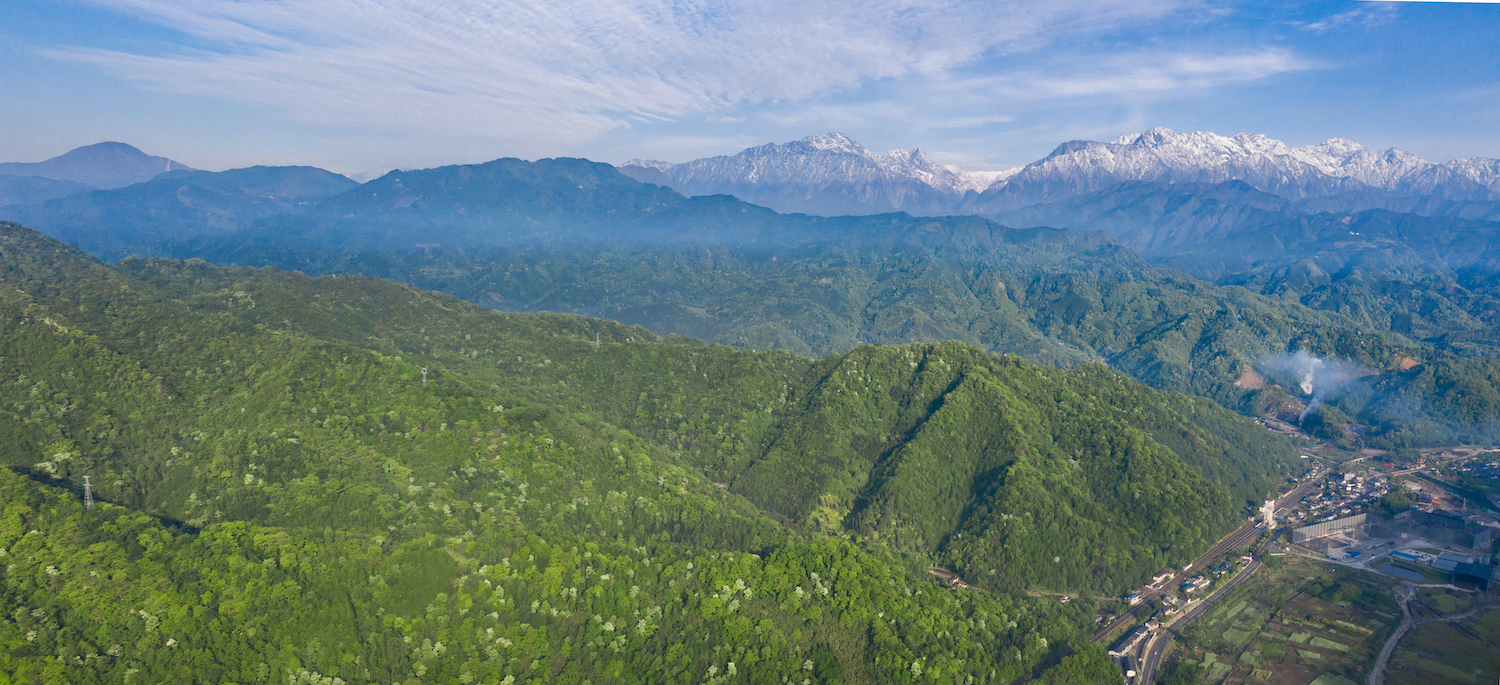 四川蓝剑饮品集团上市,四川蓝剑饮品集团营业额