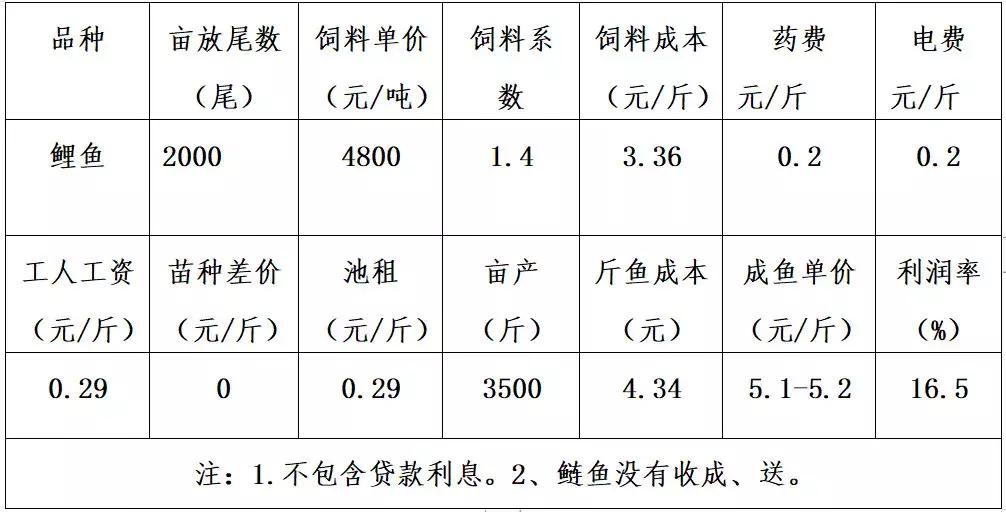 养鱼基本常识及效益,生态养鱼如何赚钱快些呢