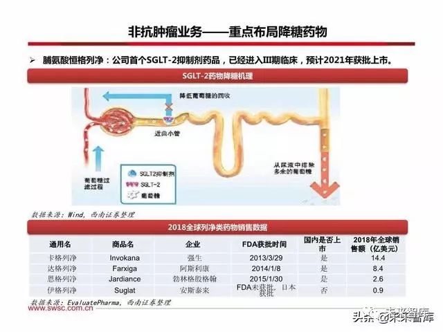 恒瑞医药创新战略,恒瑞医药的发展困境和机遇