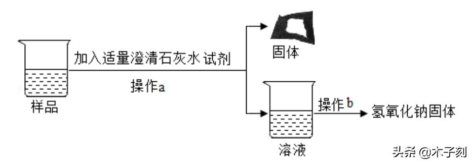 中考押题试卷及答案,中考押题模拟试卷