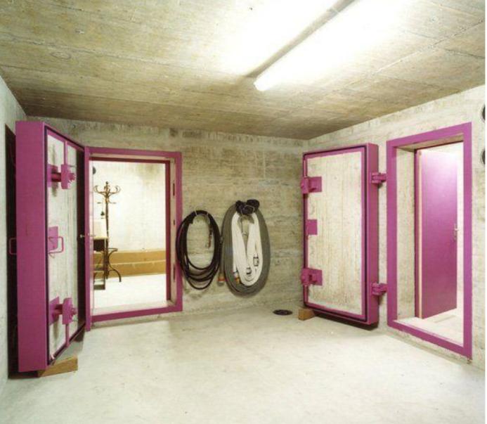 从我是传奇开始的小说,美国末日废土