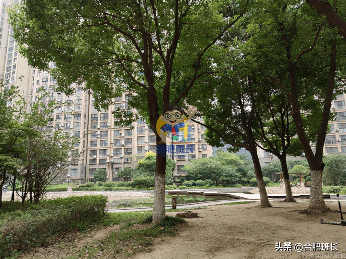 御湖观邸解析,御湖观邸房子质量怎么样