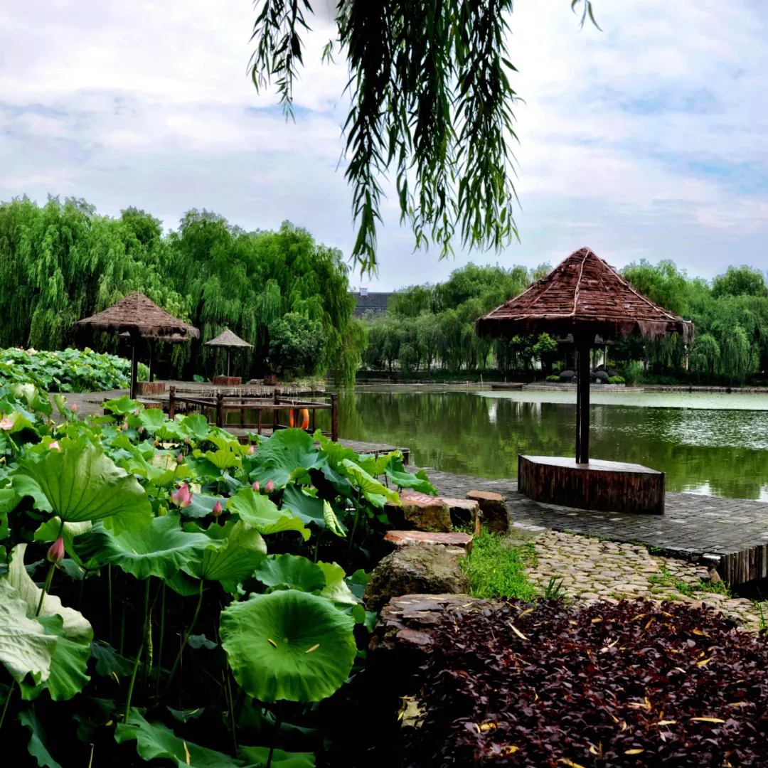 荻港渔庄糕点,湖州荻港渔庄