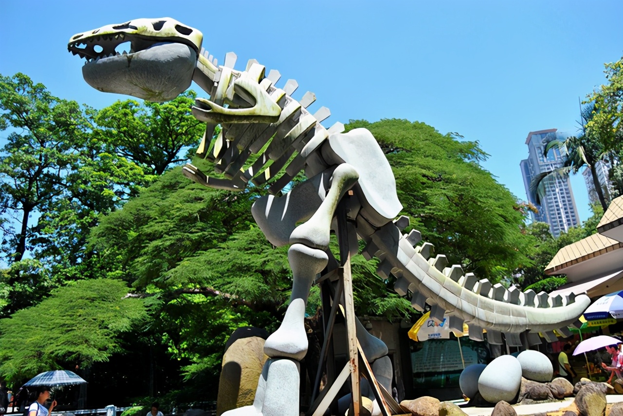 厦门儿童沙滩游乐园是免费的吗,厦门儿童游乐园室内