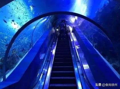 深夜重磅：一年疯一次！徐州南区都在传这事！100多家餐厅5折起