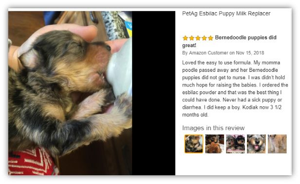 谁在证明PetAg美国倍酷奶粉的强大口碑？来自全球用户的真实反馈