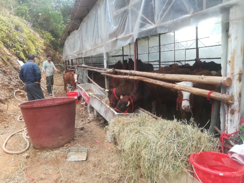 农村小作坊酿酒前景,开酒厂小作坊要多少成本