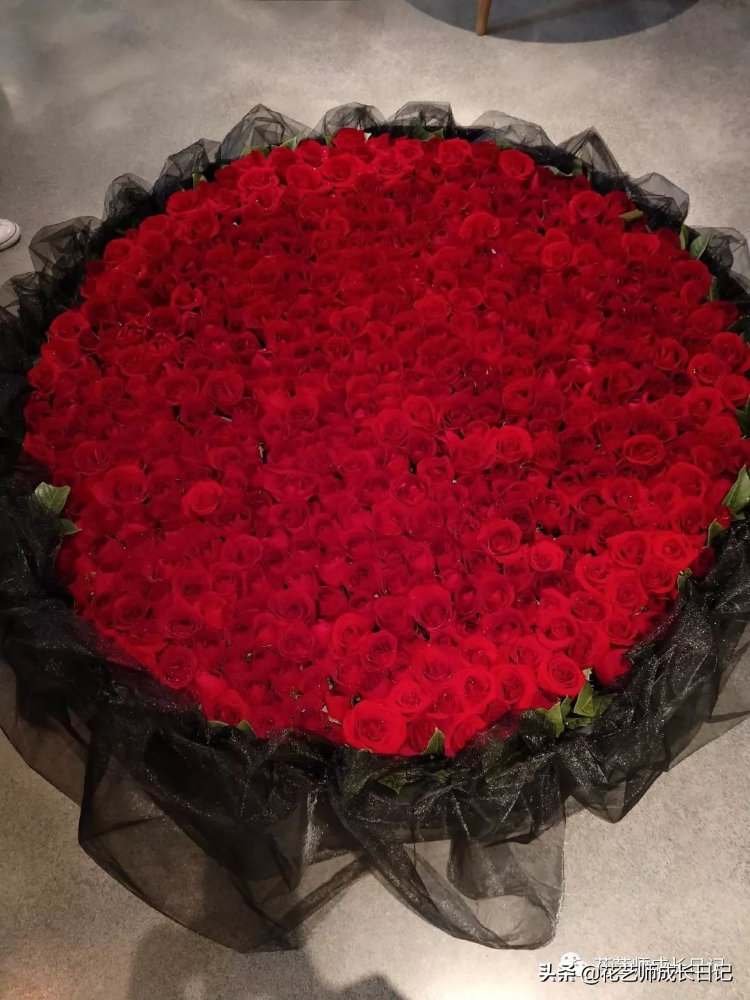 1-999朵玫瑰花分别代表什么花语,1到99朵玫瑰花花语