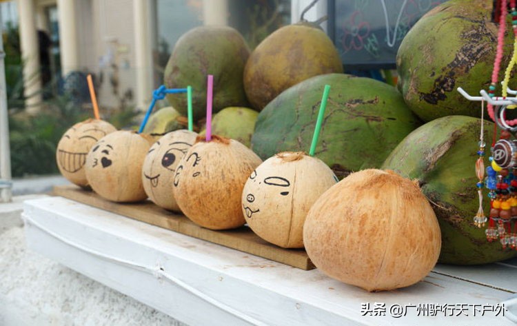 扬帆乘风破浪游艇出海小鼓浪屿较场尾杨梅坑骑行寻找美人鱼