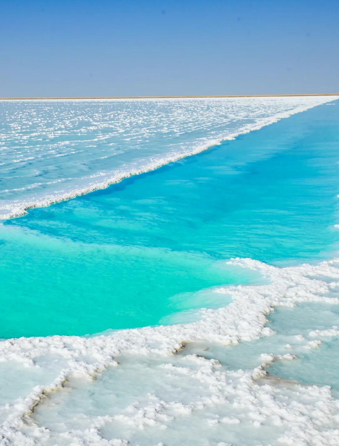 新疆塔里木大沙漠风景,除了沙漠树森林树还有什么