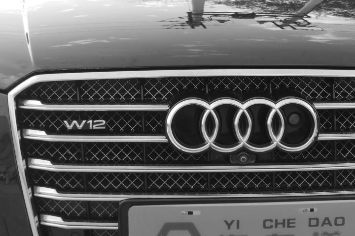 奥迪a82006款a8l6.0w12quattro旗舰型,小排三缸车