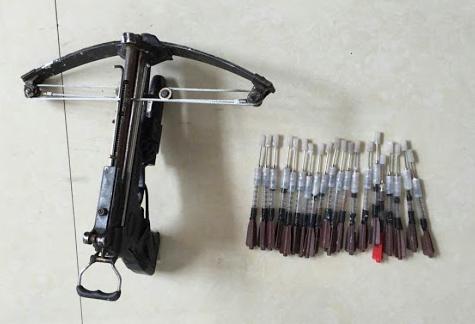 小区300多头狗被毒死,狗在小区被毒死是什么案件