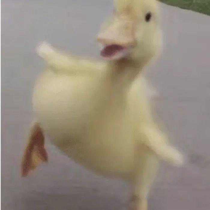 女生为什么这么穷呢,女生为什么这么穷的视频