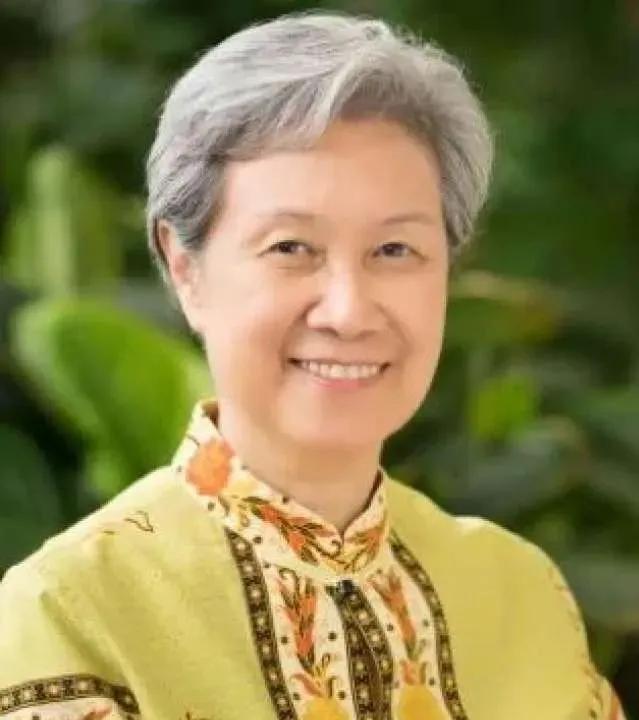 台湾捐新加坡口罩,台湾捐口罩给德国