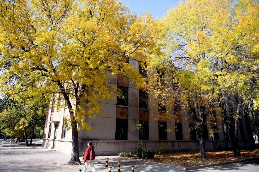 天津普通本科的大学,天津普通高校多少所大学